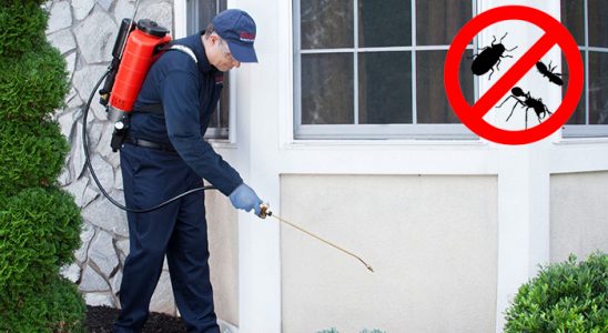 Eflani Kemirgen İlaçlama böcek ilaçlama ve haşere kontrolü — ilaclama-tr.com
